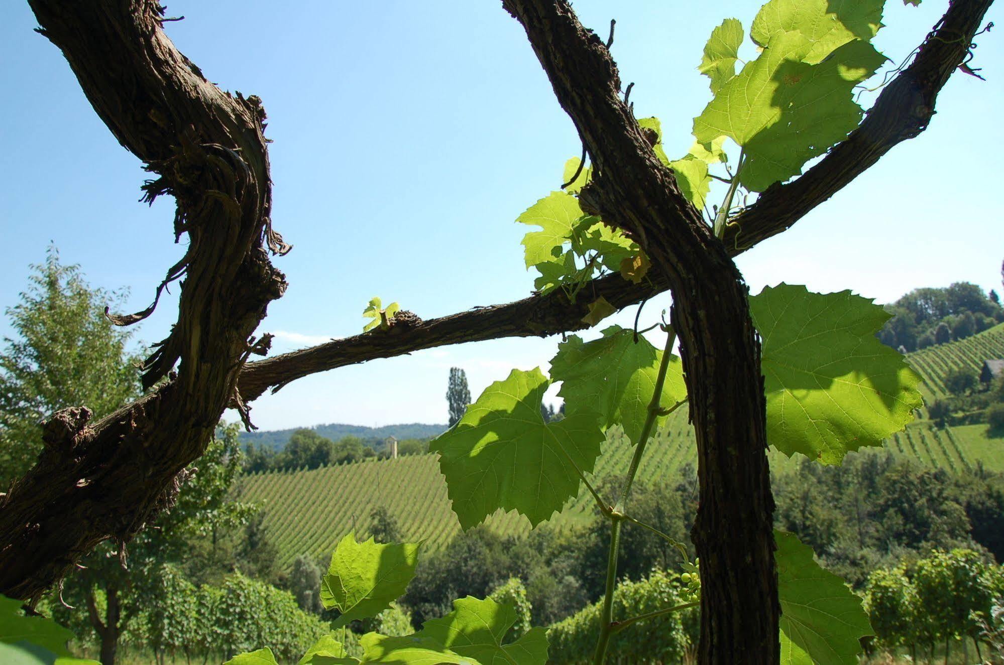 Weingut Primus Suedsteiermark Spielfeld Esterno foto